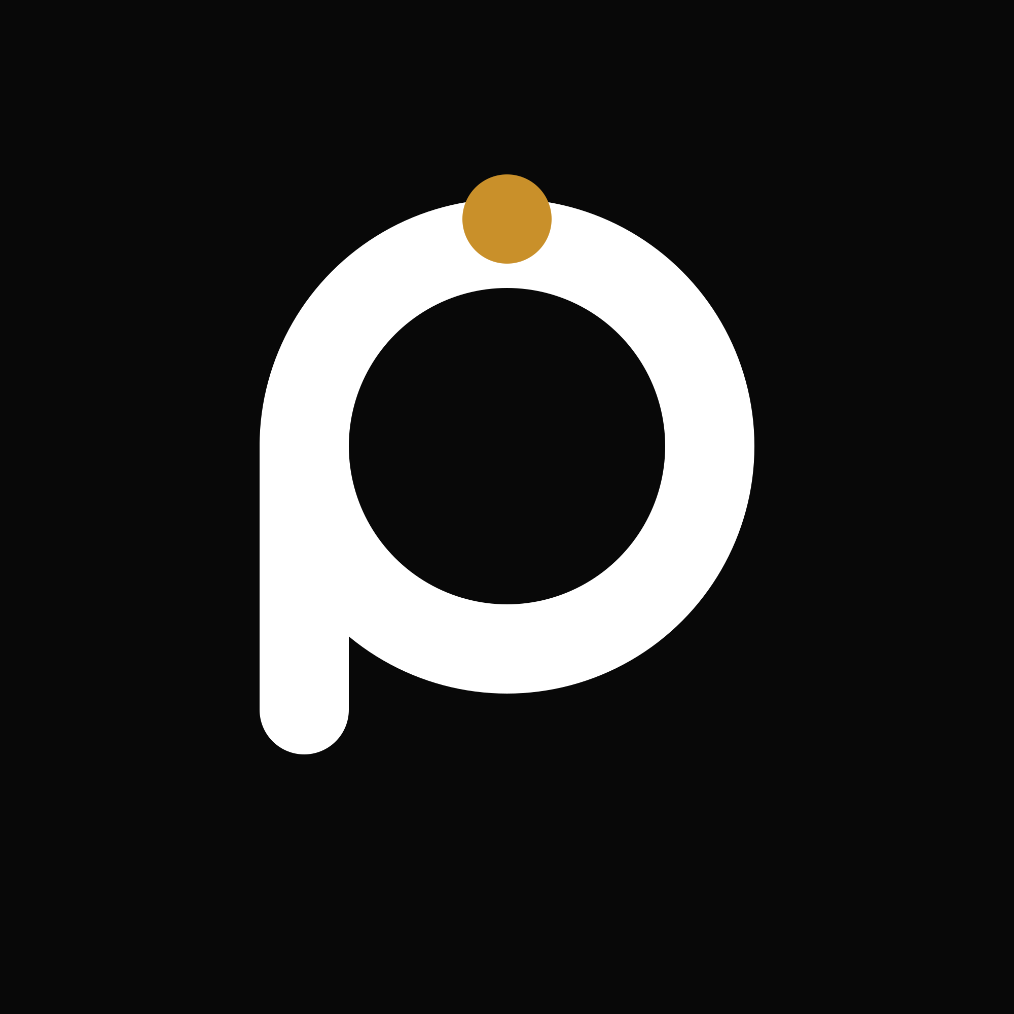 Pronoto Web